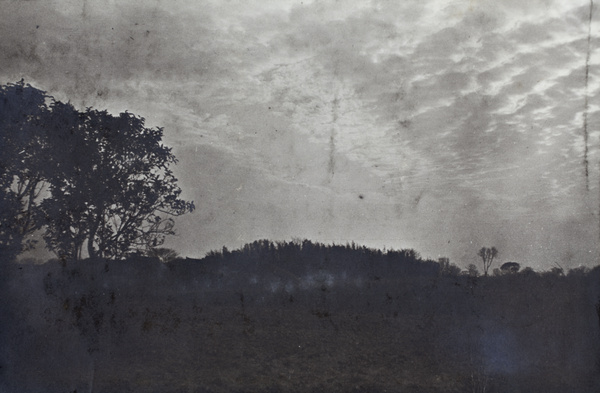 Trees silhouetted by a cloud pattern looking like the belly of a dragon, Shanghai