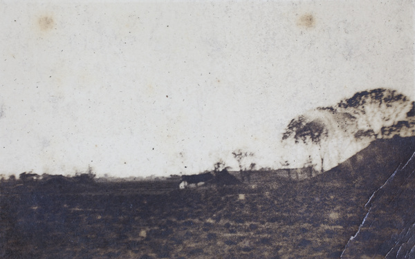 Fields and buildings, near Shanghai