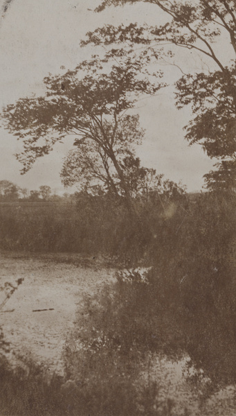 A waterway with trees, Shanghai