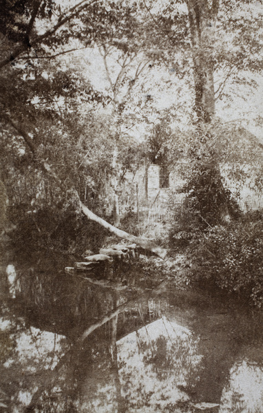 Stepping stones from a waterway to a wooded bankside