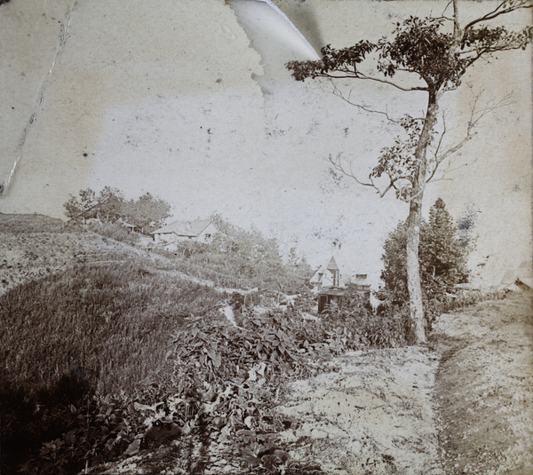 Trees, fields, and summer houses, Moganshan