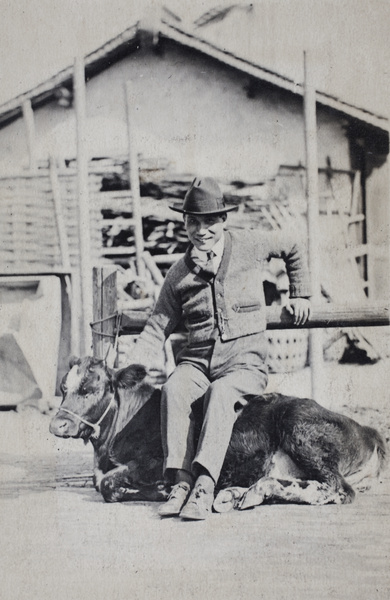 William Hutchinson looking as if he is sitting on a cow, Roselawn Dairy, Tongshan Road, Hongkou, Shanghai