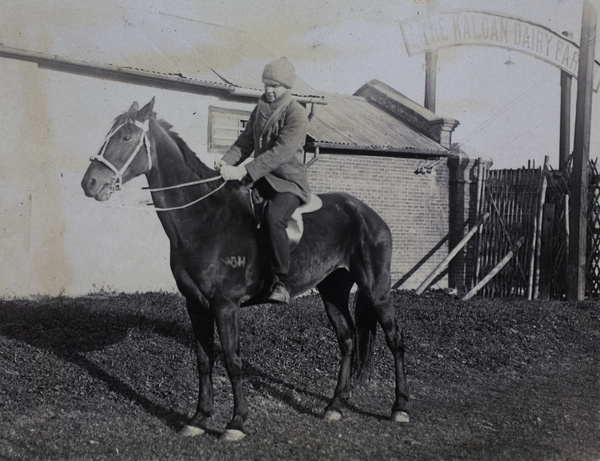 Mr W. G. Crokam mounted on a horse, Kalgan Dairy Farm, Shanghai 