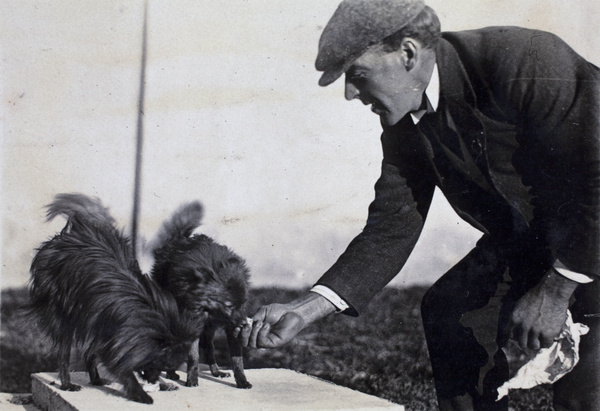 Unidentified man wearing a newsboy cap feeding two Pomerarian dogs, Shanghai 