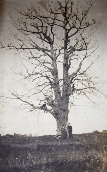 John Piry, Tom Hutchinson and George Danson with hunting rifles and dogs, Pudong, Shanghai