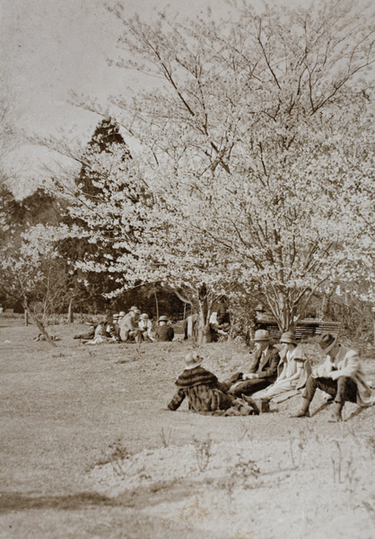 Visitors sitting under cherry trees in blossom, Jessfield Park, Shanghai, April 1925
