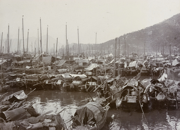 Sampans in a typhoon shelter, Hong Kong