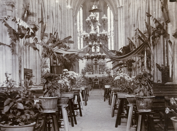 Potted chrysanthemums and banana trees, Cathedral of the Immaculate Conception, Hong Kong