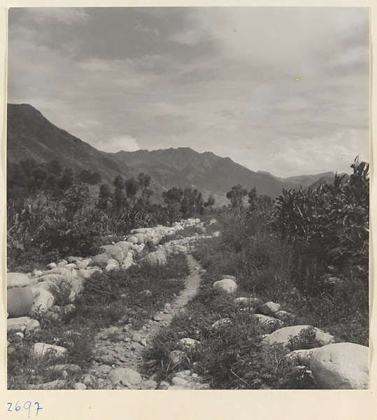 Trail south of Ts'a Ho Village in the Jumahe Valley