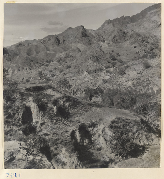 Trail through the valley between Ta-tsun [sic] and Sang-yuan [sic] villages in the Lost Tribe country