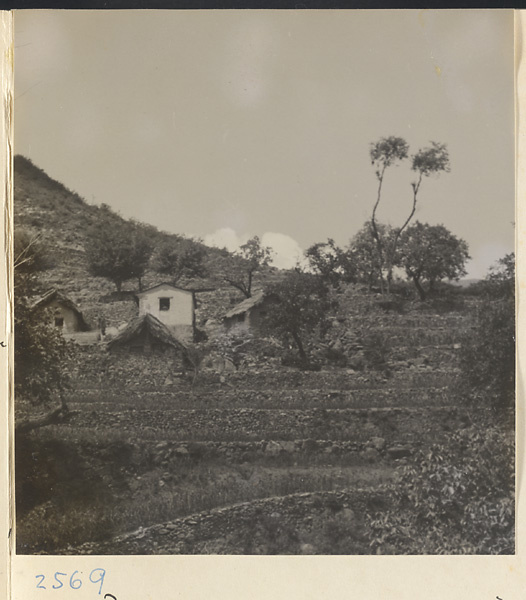 Houses on a terraced hillside on the way to the Lost Tribe country