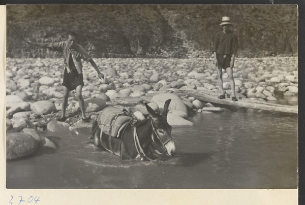 Guides watching a donkey ford the river in the Jumahe Valley