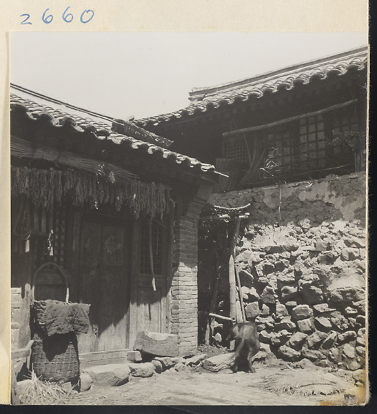 House exterior showing latticed windows, stone walls, household goods, and animal in the Lost Tribe country