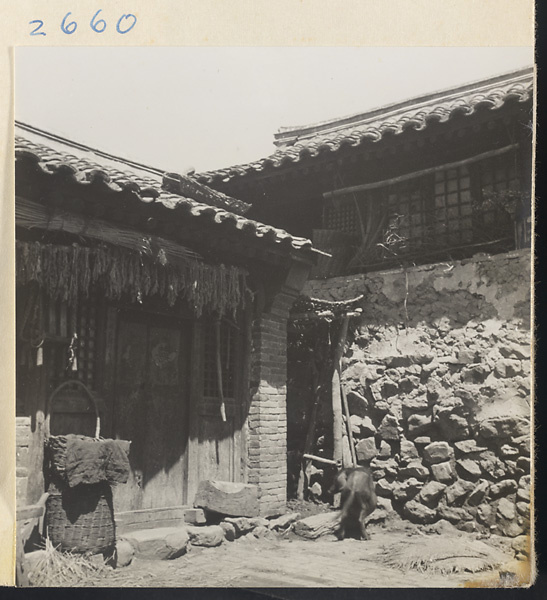House exterior showing latticed windows, stone walls, household goods, and animal in the Lost Tribe country