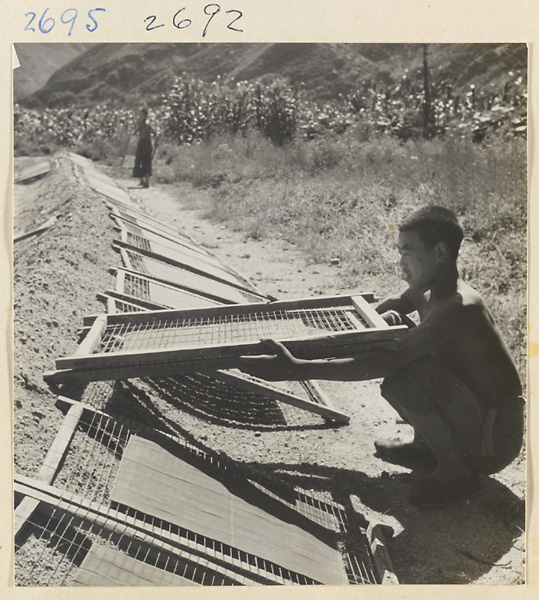 Boy laying out racks of incense to dry in courtyard at incense factory west of Ts'a-ho Village [sic] in the Lost Tribe country