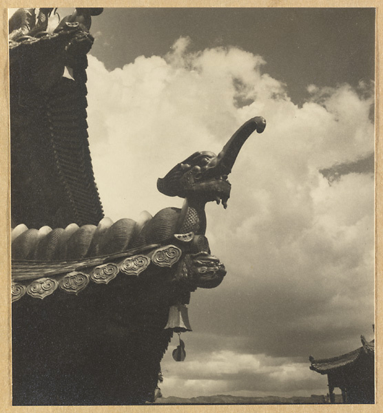 Detail showing double-eaved roof of Miao gao zhuang yan dian with a sea elephant and a bell