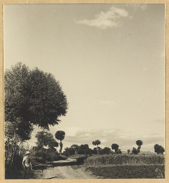 Man, fields, and trees alongside the road from Beijing to Chengde