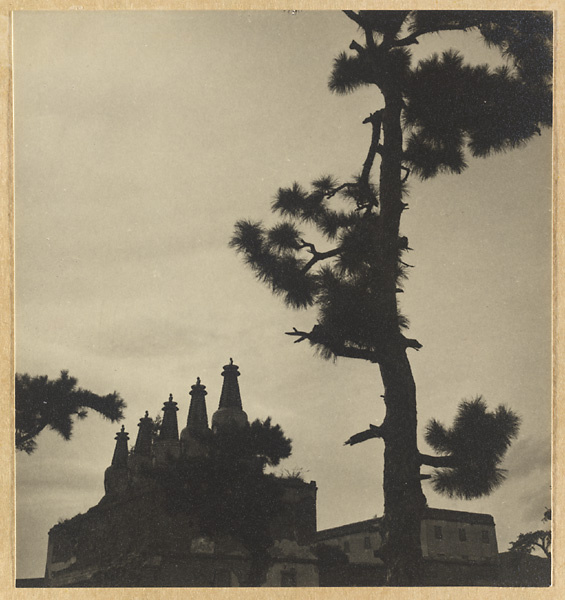 Detail of Wu ta bai tai showing five stupa-type pagodas on the roof and pine tree at Pu tuo zong cheng miao