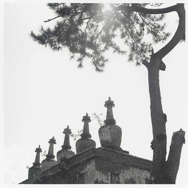 Detail of Wu ta bai tai showing five stupa-type pagodas on the roof and a pine tree at Pu tuo zong cheng miao