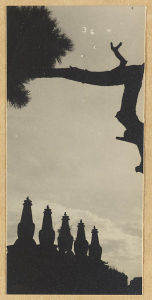 Detail of Wu ta bai tai showing five stupa-type pagodas on the roof and pine tree at Pu tuo zong cheng miao