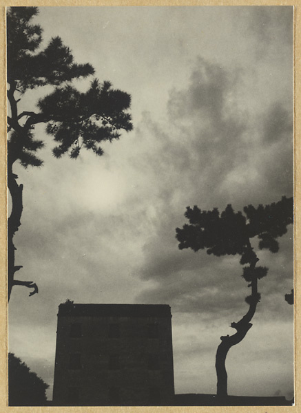 Silhouette of trees and a temple building