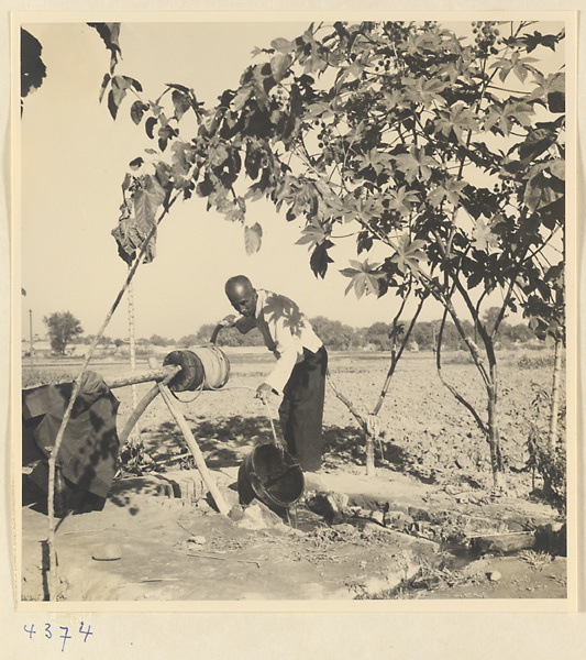 Man drawing water from a well and pouring it into irrigation ditches on a farm near Baoding