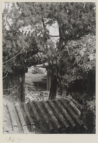 Detail of a roof in Ningshougong Yuan