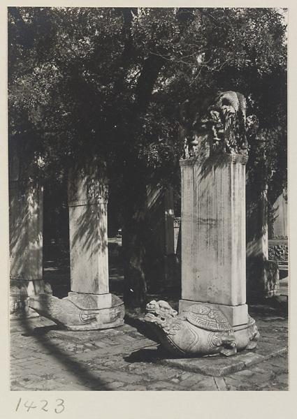 Courtyard with tortoise stelae at Dong yue miao