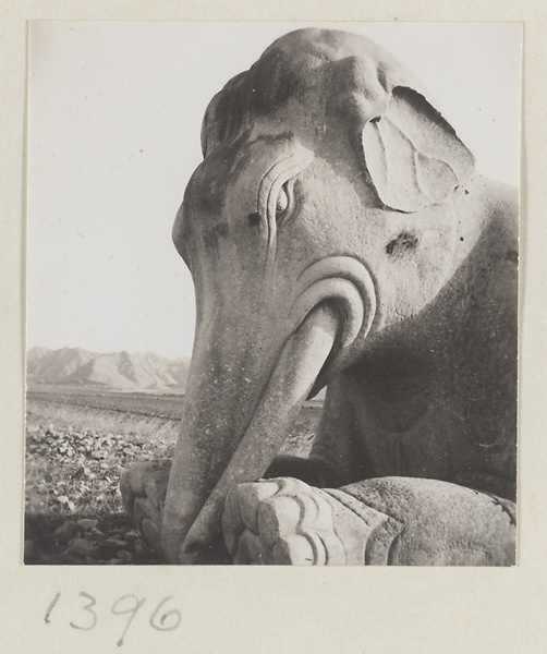 Detail showing head of a kneeling stone elephant on Shen Dao leading to the Ming Tombs