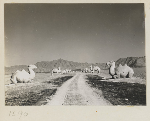 Stone camels and other animals lining Shen Dao leading to the Ming Tombs