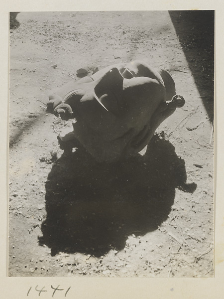 Head of a Bodhisattva lying on the ground at Da Fo si