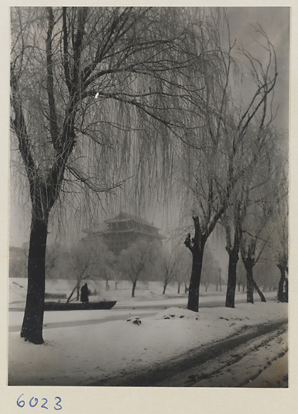 Qi hua men in winter
