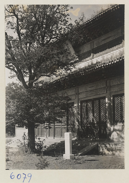 Facade detail of Da zhong si and stone stela