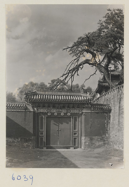 Qian guang men at Tuancheng