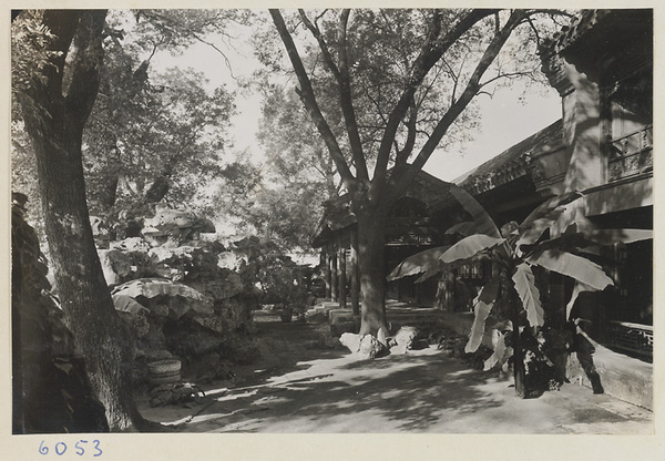 Courtyard garden at Ta Yuan Fu, Yenching