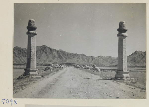 Wangzhu and stone animals on Shen Dao leading to the Ming Tombs