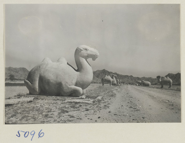 Seated stone camel on Shen Dao leading to the Ming tombs