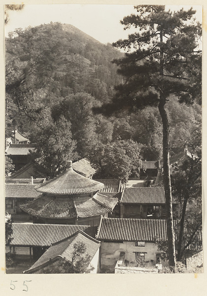 Temple roofs at Tan zhe si