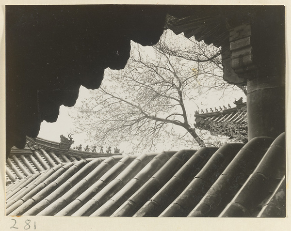 Roof detail showing ornaments at Yihe Yuan