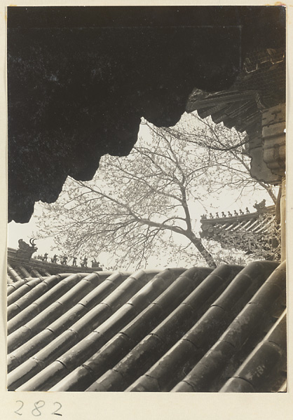 Roof detail showing ornaments at Yihe Yuan
