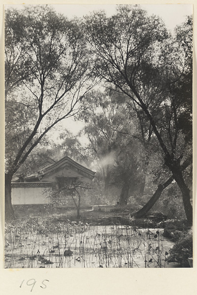 Buildings and trees at the Old Wu Garden