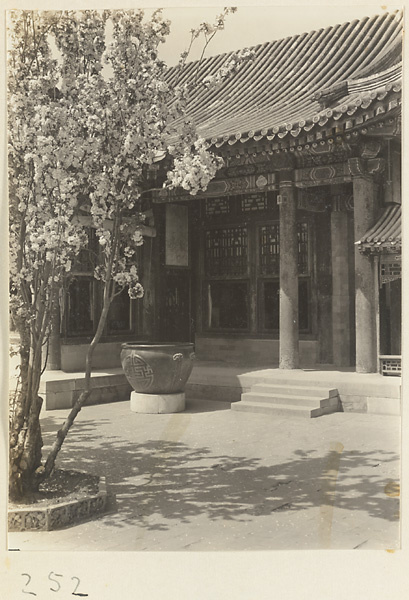 Metal vat and flowering tree in front of Luo shou tang