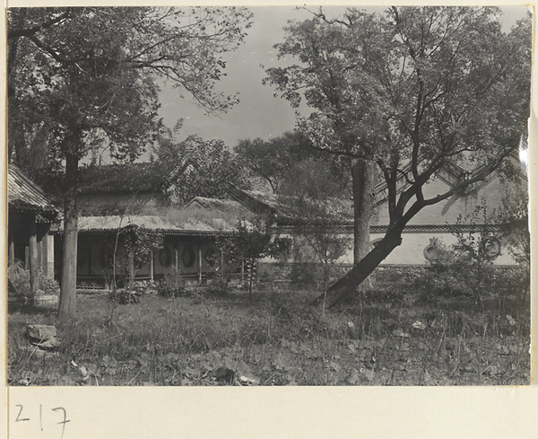 Garden and buildings with ornamental windows at the Old Wu Garden