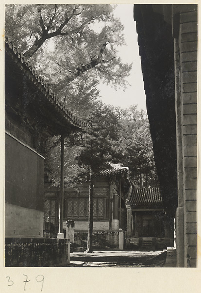 Temple buildings and courtyard with stone stela at Da jue si