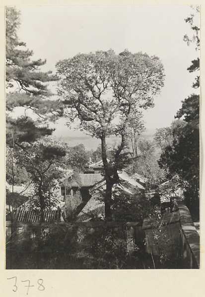 Buildings in temple complex at Da jue si