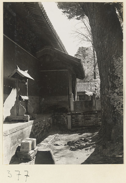 Temple courtyard with ru yi-shaped chime at Da jue si