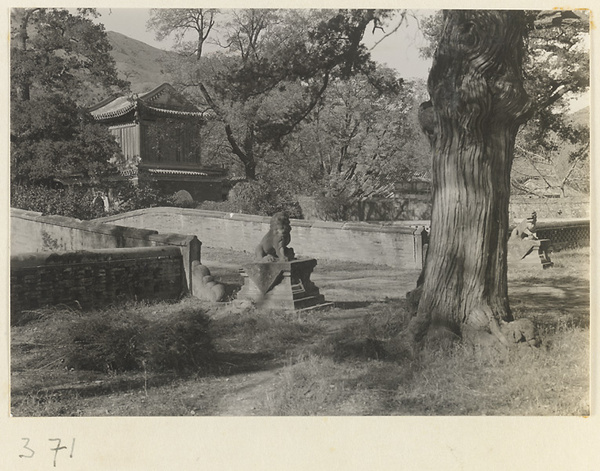 Bridge flanked by stone lions and temple building at Da jue si