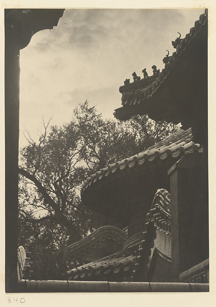 Detail of roofs and roof ornaments at Wan shan dian and Qian sheng dian