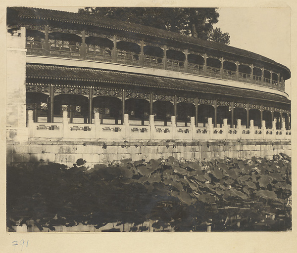 Yu lang on north shore of Qiong Island