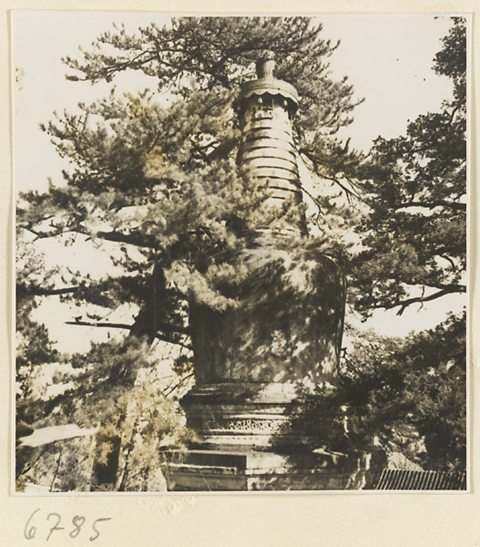Stupa-style pagoda and pine tree at Da jue si